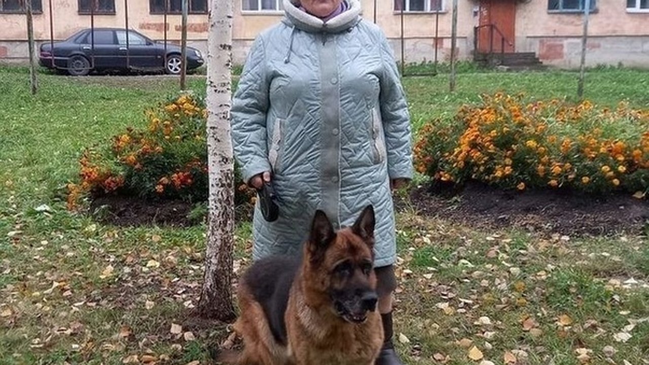 Главная картинка новости: В Чувашии полицейские стали героями: 75-летней женщине вернули ее пропавшую собаку