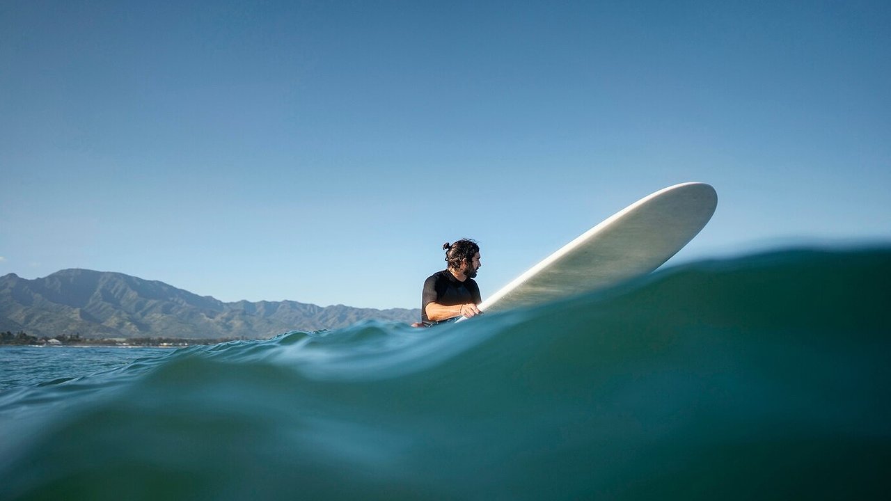 Главная картинка новости: Печальная статистика: в Чувашии выросло число погибших на воде в конце купального сезона 2024 года