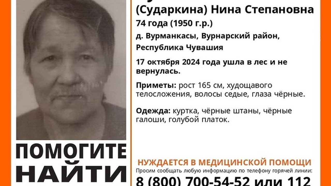 Главная картинка новости: В Чувашии продолжаются поиски 74-летней Нины Зубовой, которая ушла в лес и не вернулась