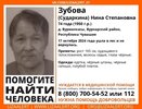 В Чувашии продолжаются поиски 74-летней Нины Зубовой, которая ушла в лес и не вернулась