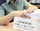 Чебоксарец заплатил алименты после возбуждения уголовного дела