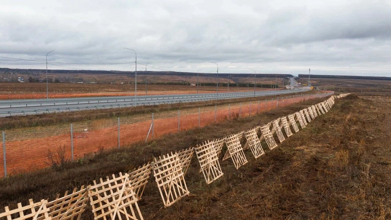 Главная картинка новости: На М-12 в Чувашии высадят 52 тысячи деревьев от заносов