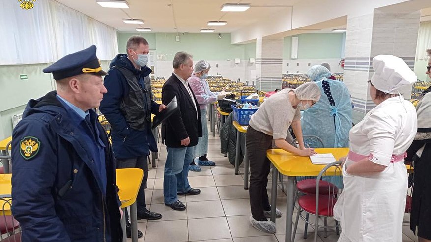 Главная картинка новости: В Новочебоксарске начались проверки после массового заболевания школьников