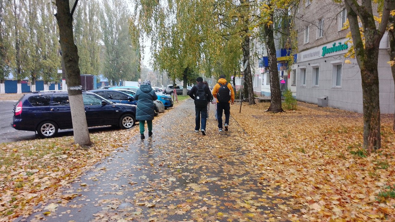 Главная картинка новости: Гороскоп на 21 ноября: Близнецов ожидает удачный день, а Рыбы могут получить важное известие