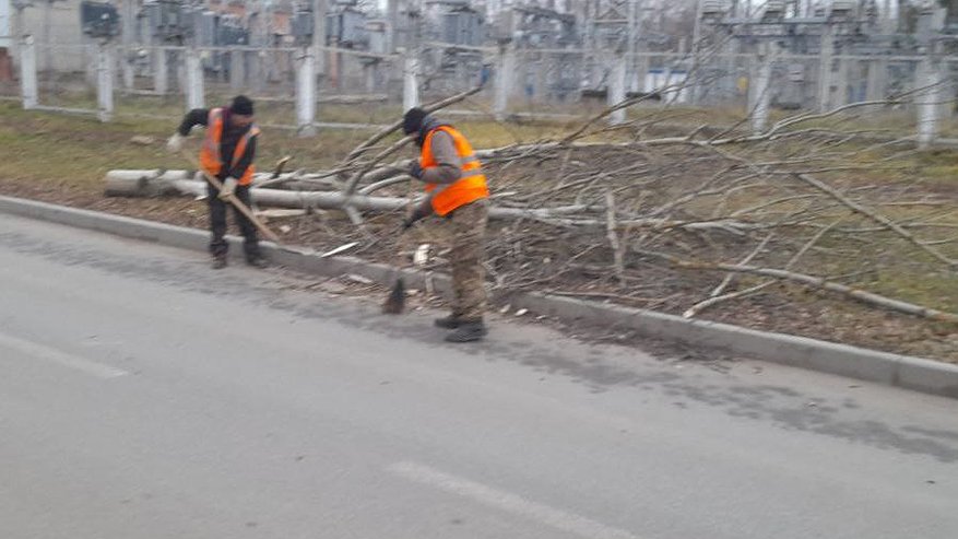 Главная картинка новости: В Чебоксарах устраняют последствия штормового ветра