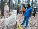 Чебоксарцы предложили новые места площадок для выгула собак