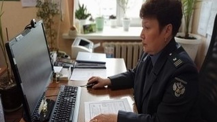 Главная картинка новости: С начала года в Чувашии выявили 220 нарушений при ввозе подкарантинной продукции