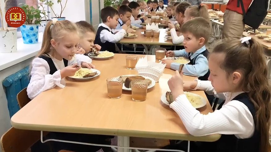 Главная картинка новости: В пяти школах Новочебоксарска нашли нарушения при организации питания
