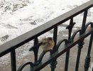 Синоптики рассказали, какой будет погода 5 декабря в Чувашии