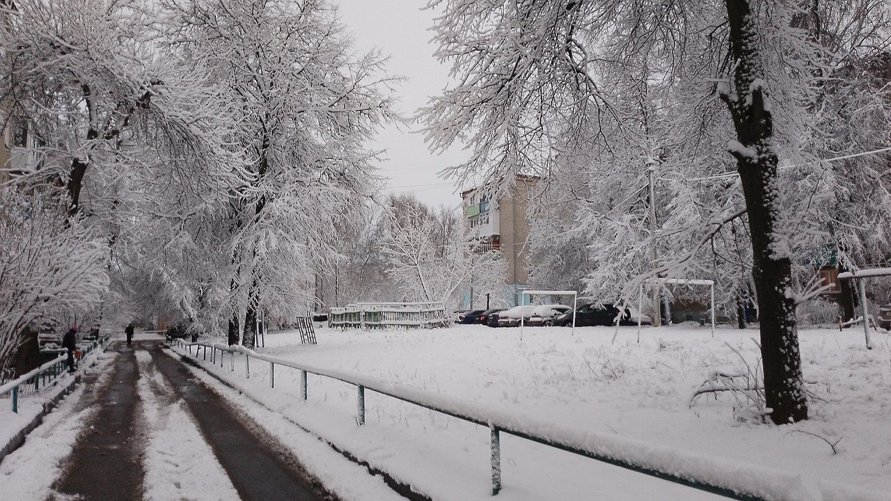 Главная картинка новости: Жителям Чувашии пообещали до минус 7 и ясную погоду в пятницу