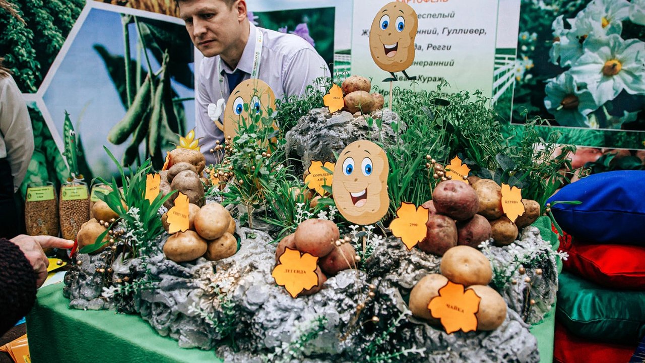 Главная картинка новости: Межрегиональная выставка "Картофель-2025" пройдет в Чувашии 5-6 марта
