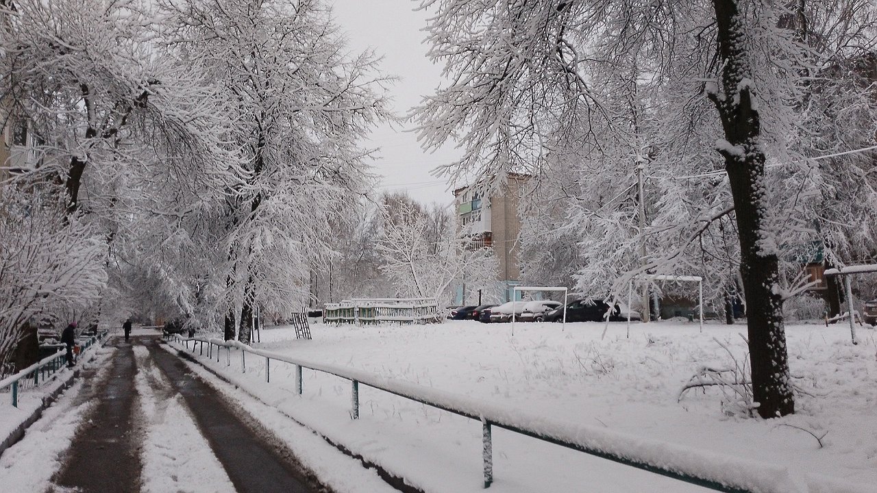 Главная картинка новости: Снегопад и до 6 градусов мороза ожидаются в Чувашии 9 декабря