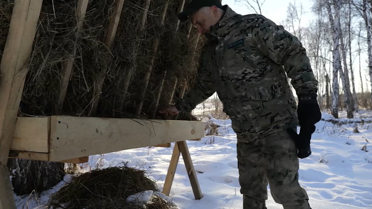 Главная картинка новости: Охотинспекторов Чувашии показали по Первому каналу в передаче «Доброе утро»