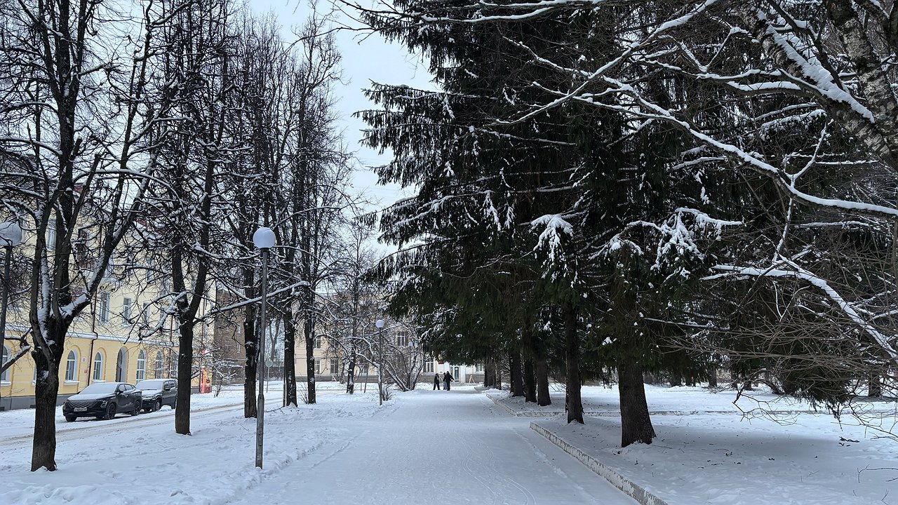 Главная картинка новости: Ветер и снегопад обрушатся на Чувашию 11 декабря