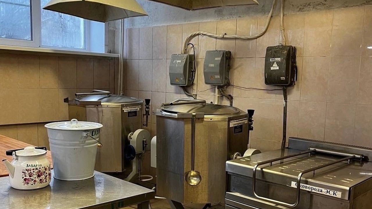 Главная картинка новости: В Чебоксарах в школьной столовой обнаружили тараканов