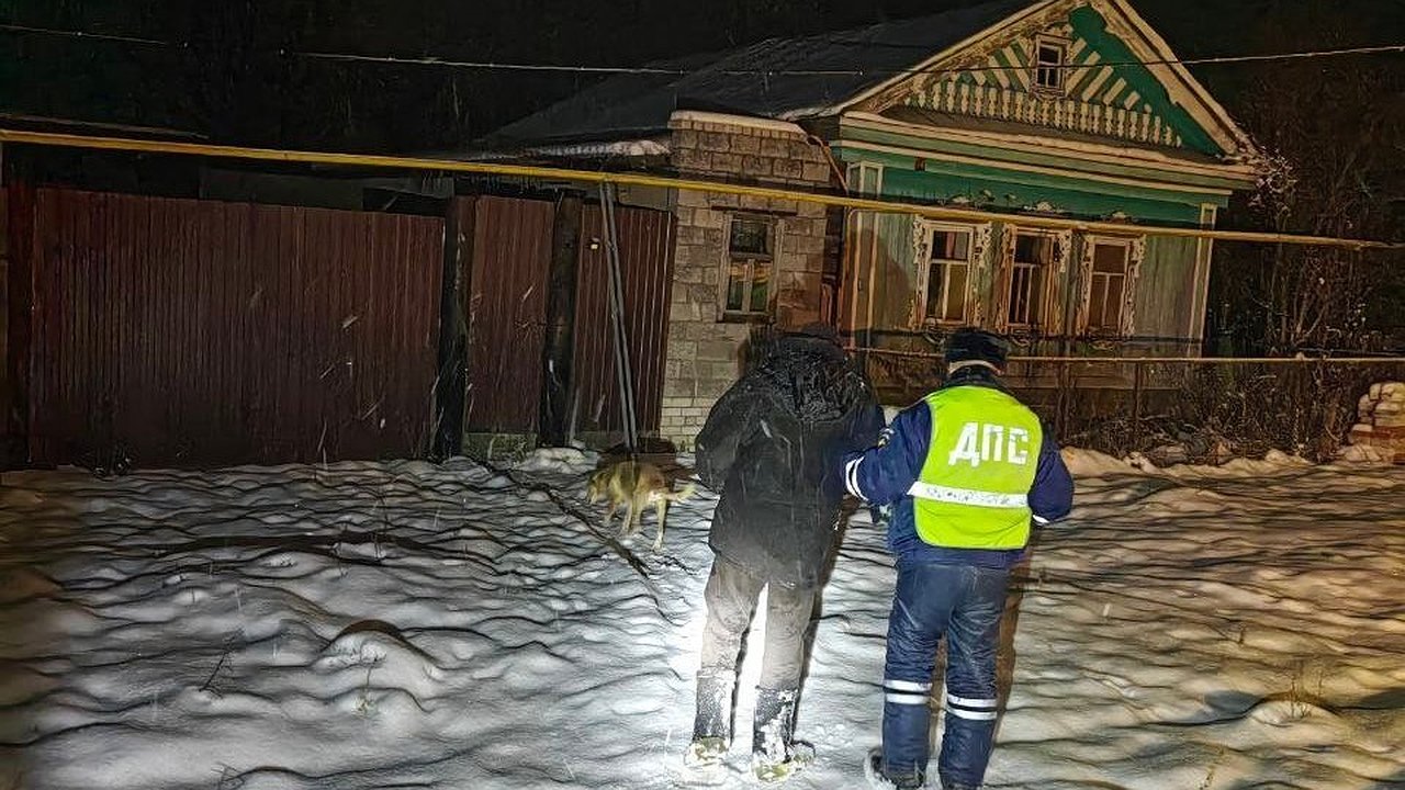 Главная картинка новости: Сотрудники ДПС увидели на дороге инвалида и помогли ему добраться до дома