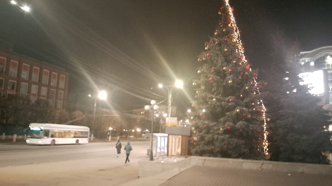 Главная картинка новости: В Чебоксарах на 72 деревьях появились новогодние гирлянды