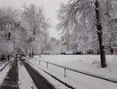 Снегопад и метель накроют Чувашию 13 декабря