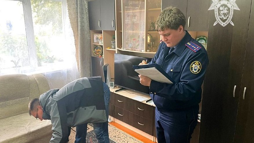 Главная картинка новости: Новочебоксарец жестоко убил свою мать, нанеся ей более 80 ударов ножом