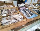 Россельхознадзор проверяет продажу продуктов на рынках и ярмарках Чувашии