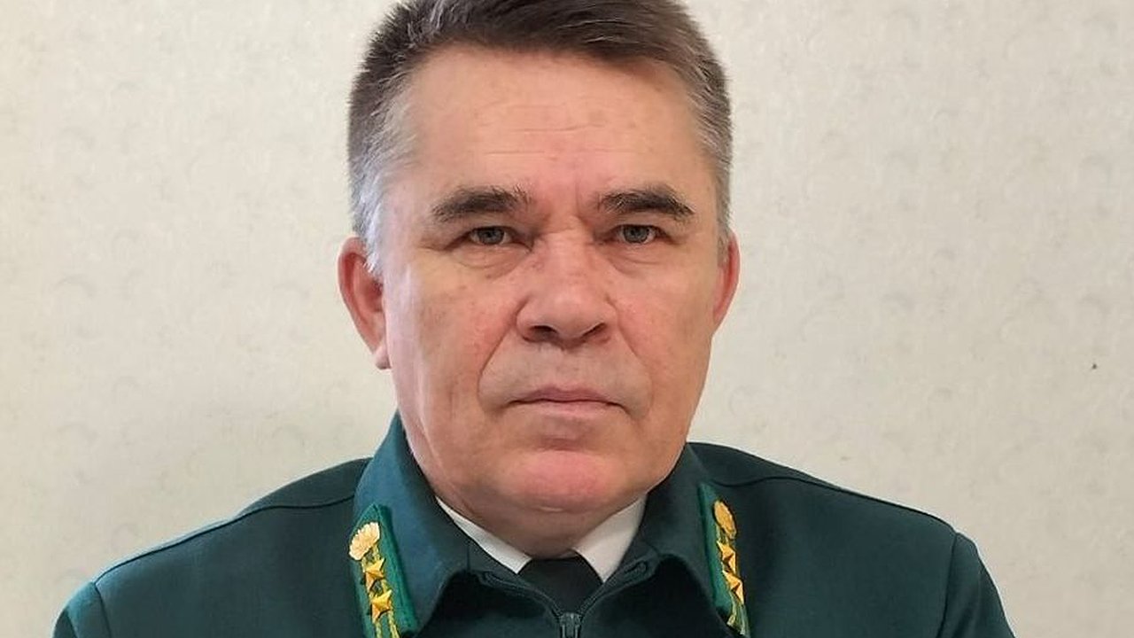 Главная картинка новости: В Чувашии появился еще один заслуженный лесовод