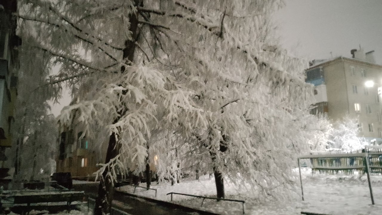 Главная картинка новости: 9 января в Чувашии синоптики пообещали снежную погоду и до -6 градусов