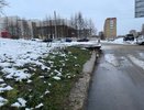 Каким будет лето 2025 после аномально теплой зимы: эксперты ответили, к чему нужно всем готовиться садоводам