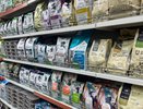 Не травите этим кошек: в Роскачестве назвали худшие марки корма для животных