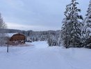 Зима еще не началась: Роман Вильфанд озвучил, когда придут аномальные морозы