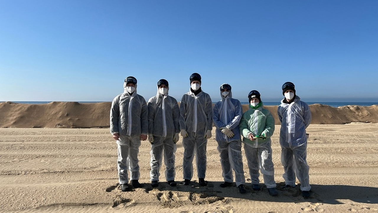 Главная картинка новости: Молодые волонтеры из Чувашии помогают в очистке пляжей Черного моря от мазута