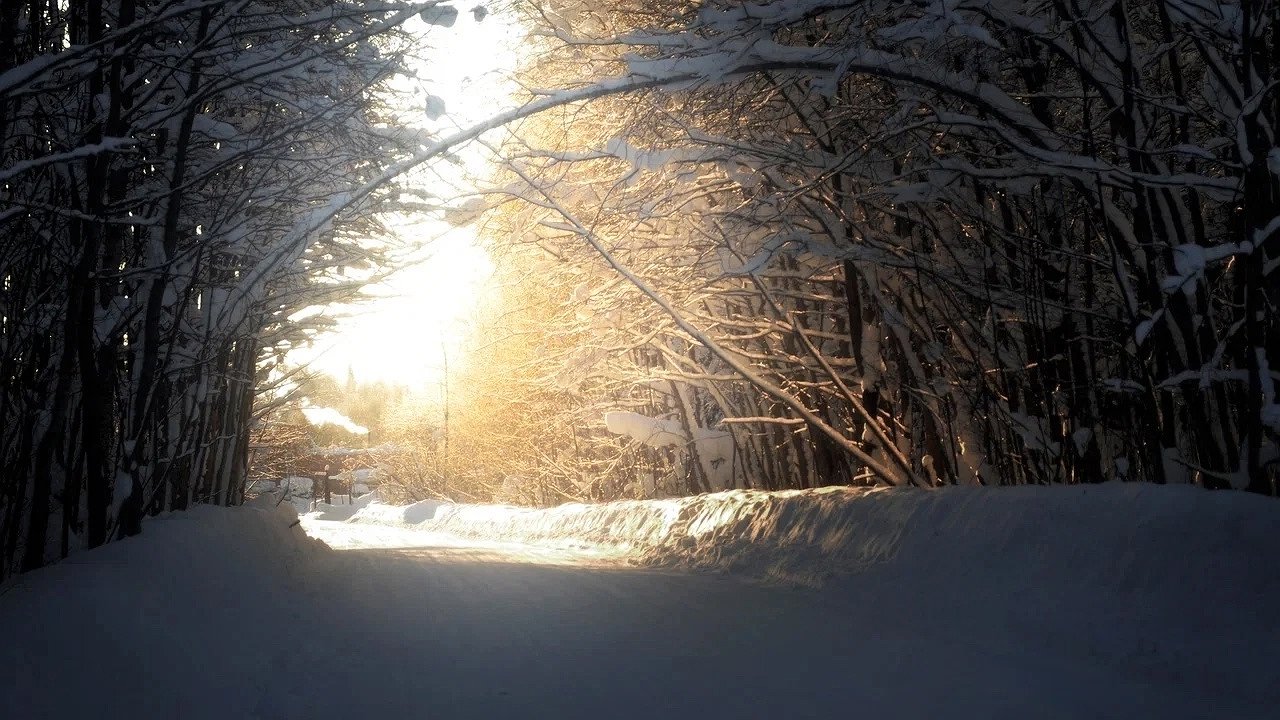 Главная картинка новости: 24 февраля в Чувашии: снег, гололёд и резкий ветер