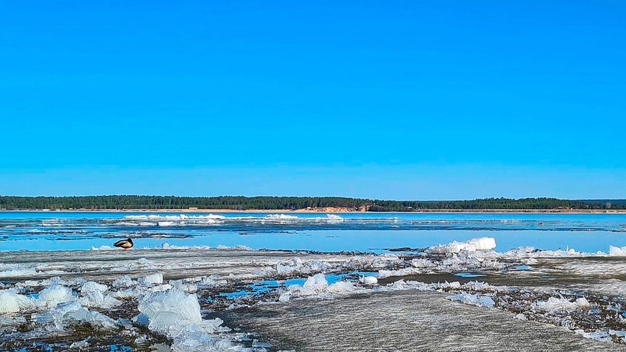 Главная картинка новости: 16 муниципалитетов Чувашии могут попасть в зону подтопления