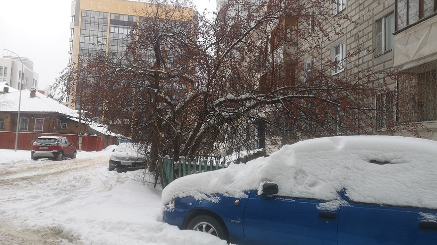 Главная картинка новости: Поступили новые данные: синоптики неожиданно изменили прогноз на начало марта