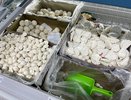 Перемолотые рога и копыта в тесте, мяса нет: в Роскачестве назвали бренды пельменей, которые даже по 80% скидке брать нельзя