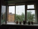 Подоконник засияет белее снега: несколько капель на ватный диск и протираю - есть в каждой аптечке