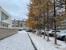 Урожай загнется из-за катастрофы в марте: что ожидать от аномальной зимы 2025 года