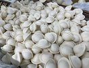 Перемолотые рога и копыта в тесте, мяса нет: в Роскачестве назвали бренды пельменей, которые даже по большой скидке брать нельзя