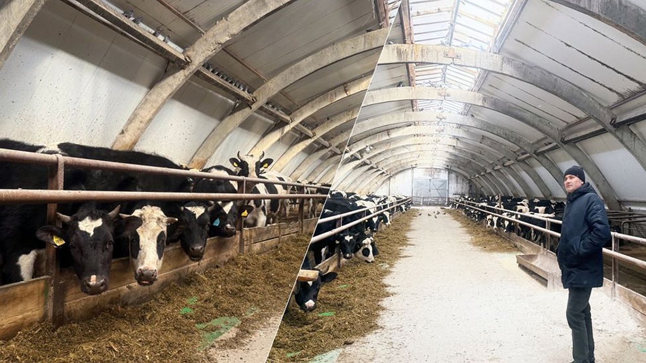 Главная картинка новости: Благодаря гранту фермер из Чувашии расширил семейный бизнес