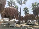 "Грязное море и мерзкие люди": настоящий отзыв туристов об отдыхе на курортах Черного моря