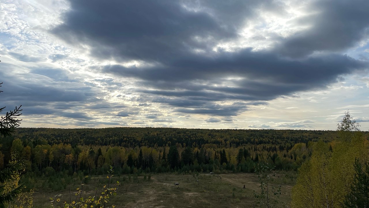 Главная картинка новости: Жара накроет резко и без стука: Вильфанд обнародовал точную дату расцвета весны