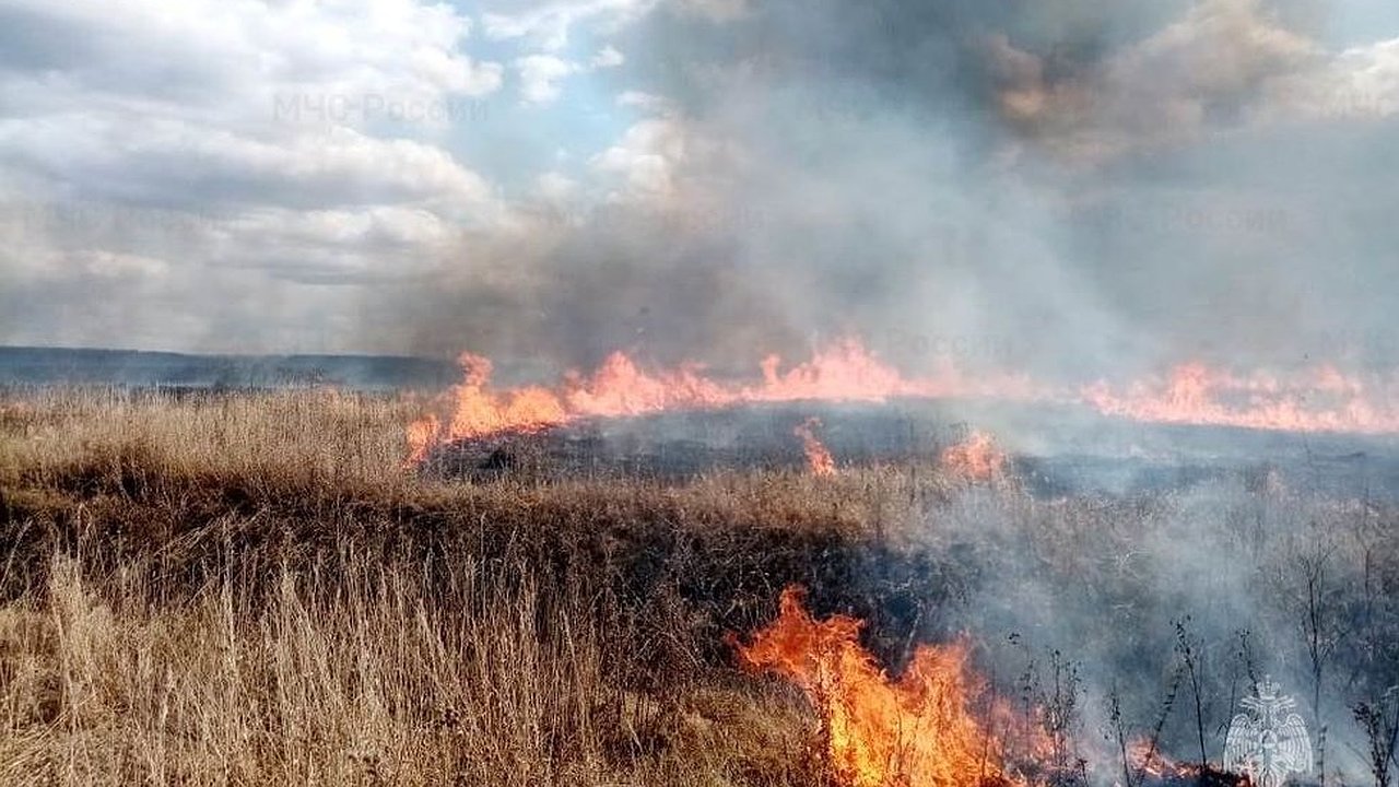Главная картинка новости: В Чувашии уже начала гореть сухая трава