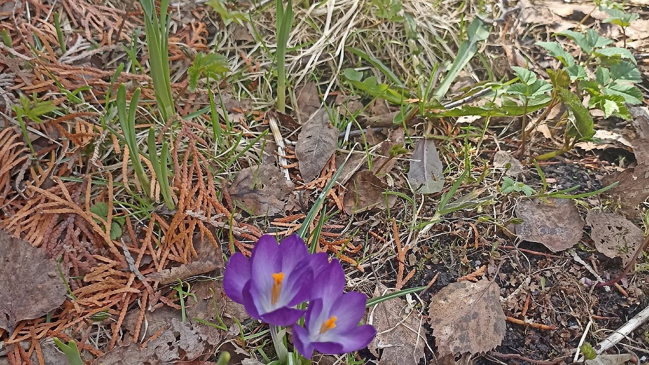 Главная картинка новости: Чувашия утвердила свои позиции в качестве “лучшего экологического региона ПФО”