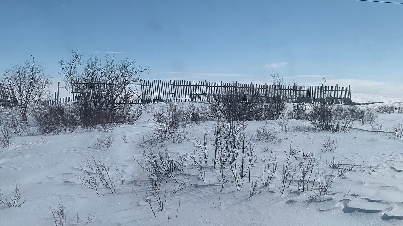 Главная картинка новости: "Май подложит нам всем большую свинью": синоптики прогнозируют сильнейшее похолодание в 2025 году