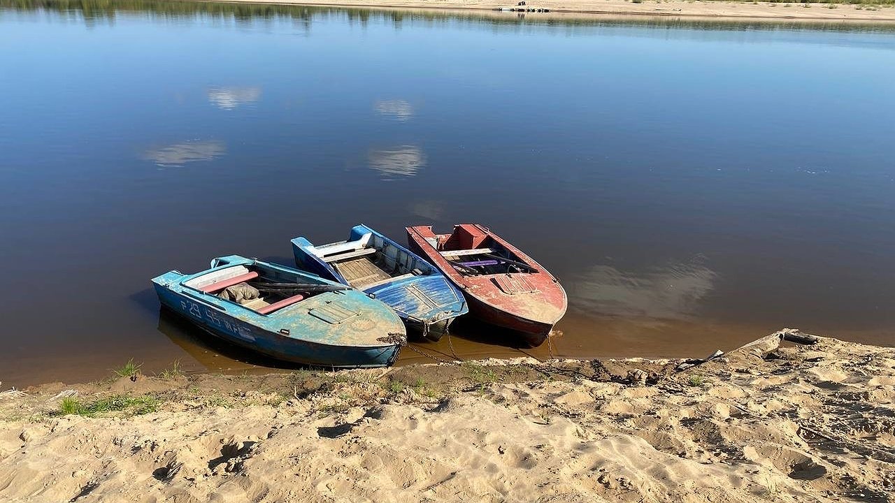 Главная картинка новости: «Страдать будем все»: синоптик Вильфанд назвал точную дату, когда адское пекло придет в Россию