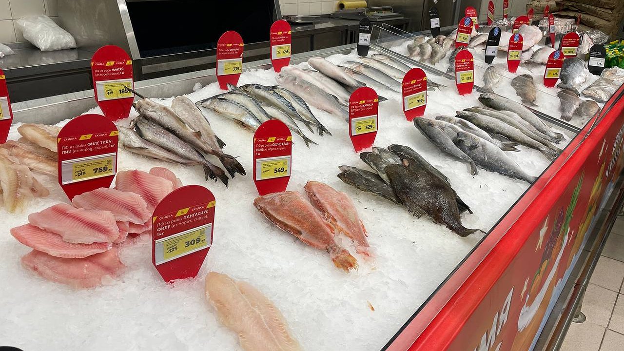 Главная картинка новости: Ученые назвали самую полезную рыбу — не лосось, не скумбрия и в несколько раз полезнее пикши