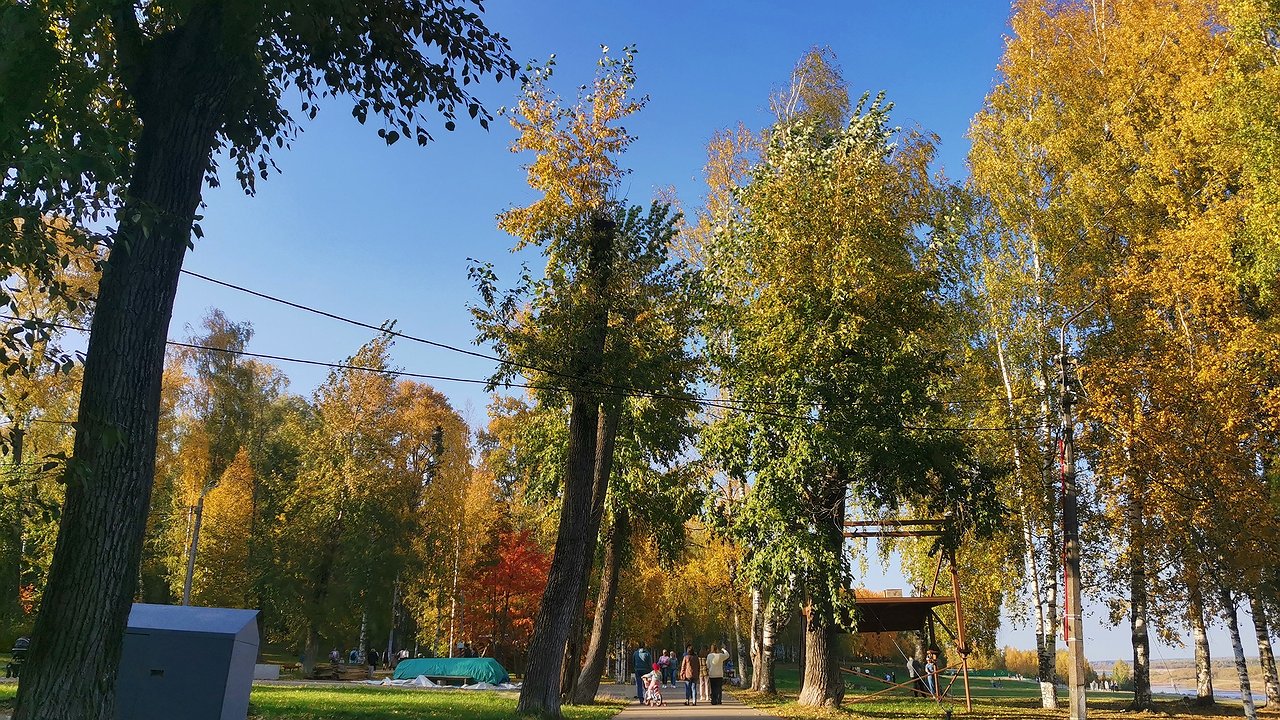 Главная картинка новости: «Страдать будем все»: синоптик Вильфанд назвал точную дату, когда адское пекло прибудет в Россию