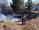 В Чувашии потушили более 70 пожаров в природной среде