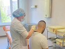 В Чувашии за неделю зарегистрировали более 10 случаев укусов клещей