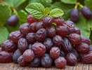 1 столовая ложка — грязь и масляный налет из изюма вытянутся на глазах: профессиональные хозяйки моют сухофрукты только так