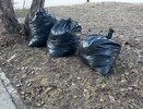 Весеннее преображение Чебоксар: город готовится к теплу и солнцу